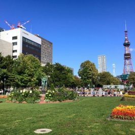 Odori Park And Sapporo TV Tower