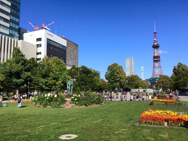 Odori Park And Sapporo TV Tower