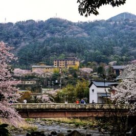 Best hot spring onsen ryokan in Hakone