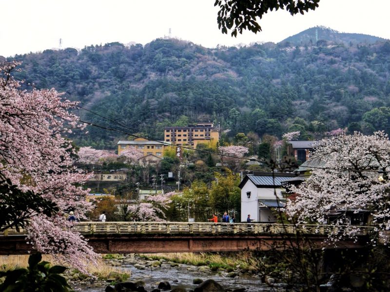 Best hot spring onsen ryokan in Hakone