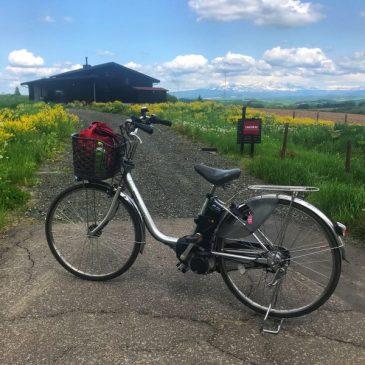 Furano-Biei Cycling Trip: Panorama and Patchwork Road