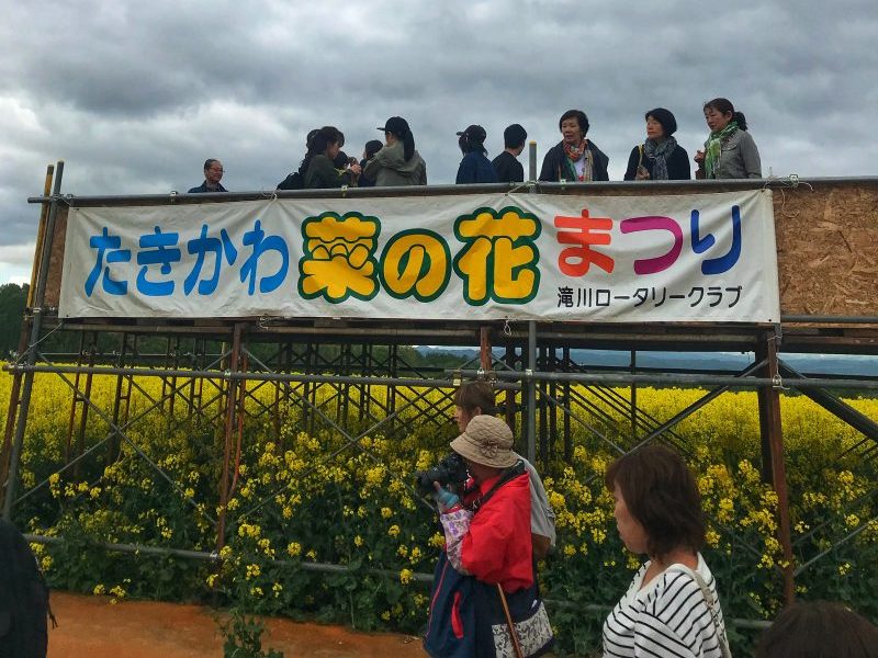 Takikawa Canola Flower Observation Deck