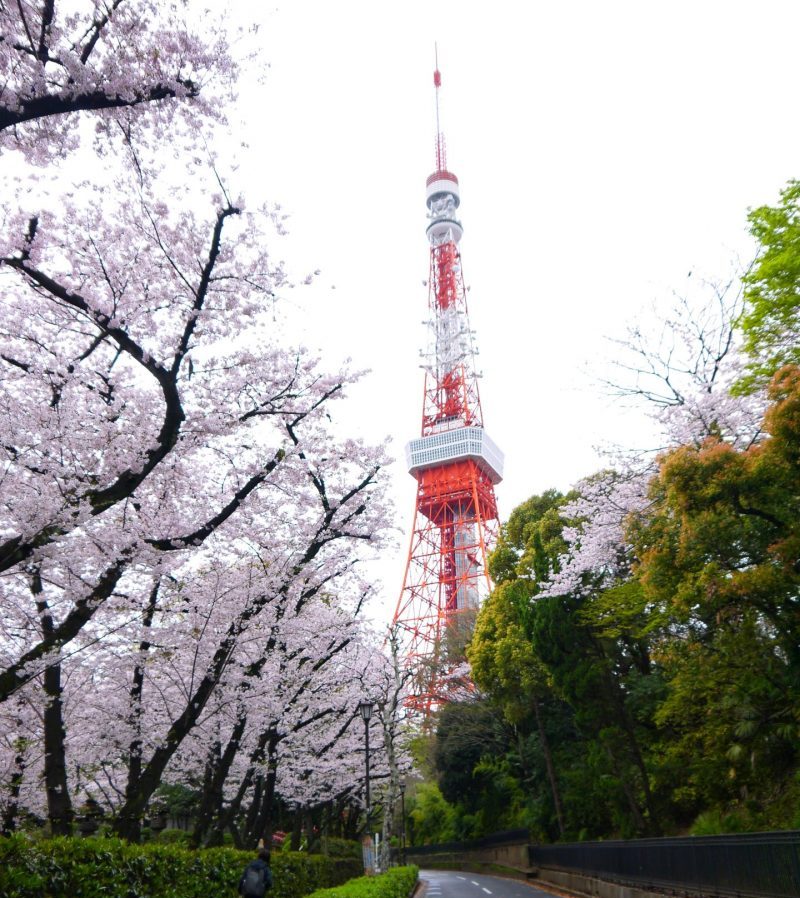 Japan Itinerary - Tokyo Tower
