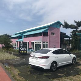 Jeju Road Trip