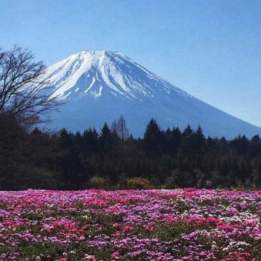Kanto Japan Travel Itinerary