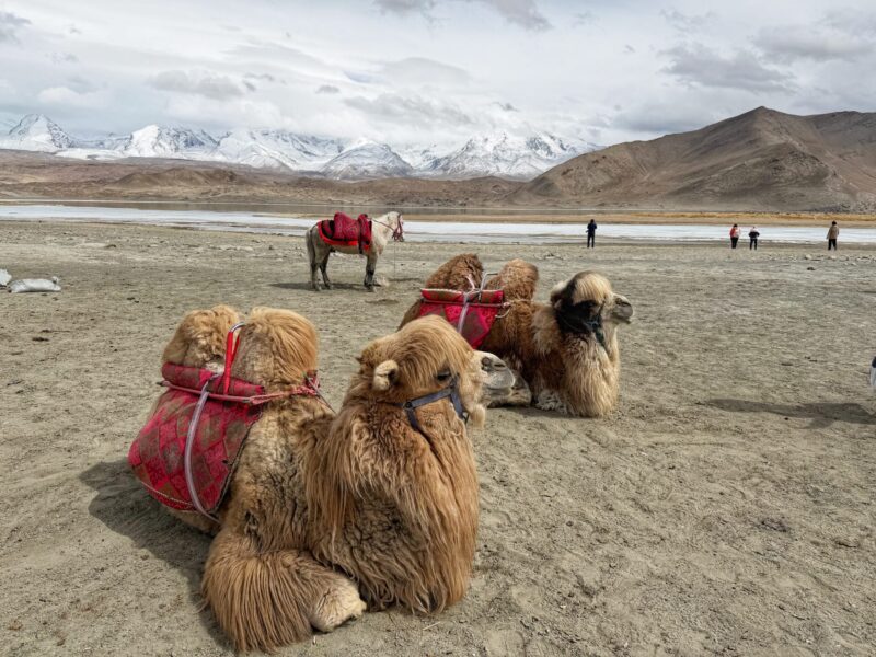 Karakul Lake Scenic Area