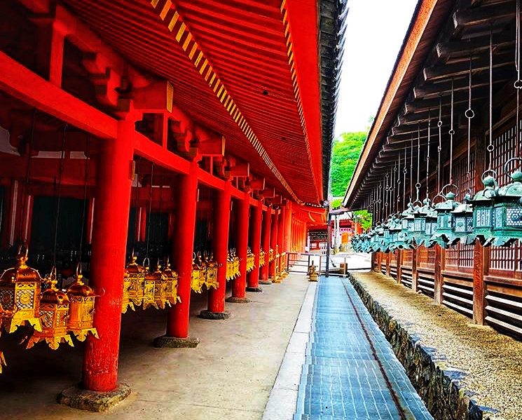 Kasuga Grand Shrine With Bronze Latterns