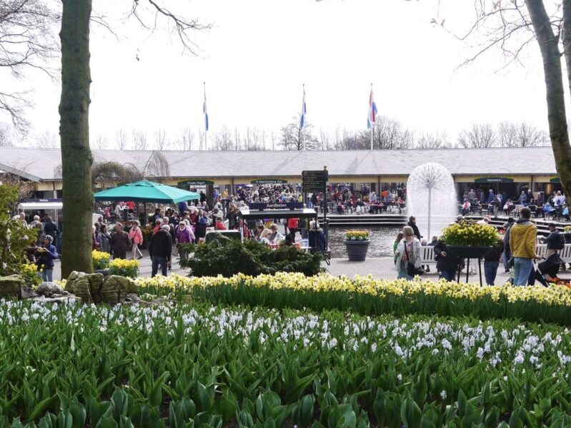 Keukenhof Travel Guide Tips