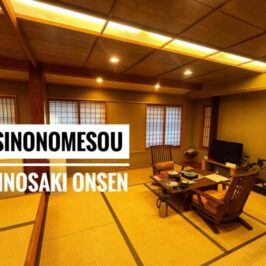 Kinosaki Onsen Sinonomesou Review