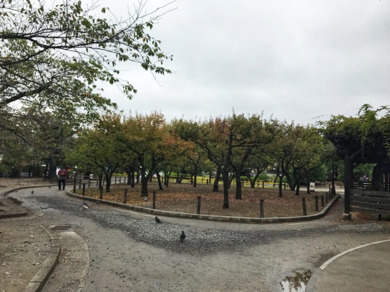 Matsumoto Castle Park