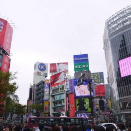 Meiji Shrine, Harajuku, Shibuya Itinerary