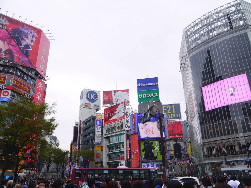 Meiji Shrine, Harajuku, Shibuya Itinerary