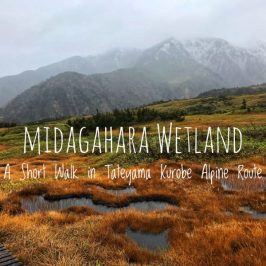 Midagahara Wetland Short Walk in Tateyama Kurobe Alpine Route