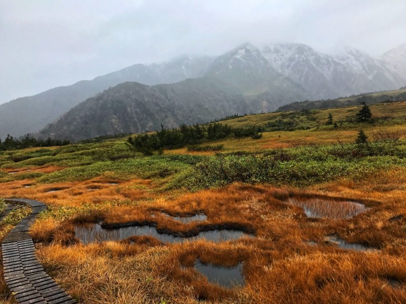 Midagahara Wetland