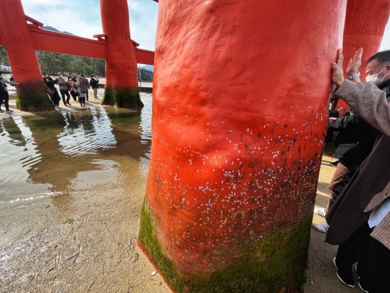 Miyajima Travel Guide - Touch the Torii Gate During Low Tide