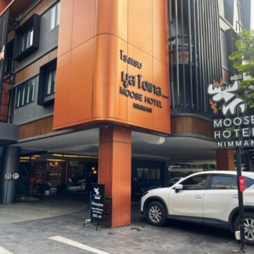 Hotel Review: Moose Hotel Nimman