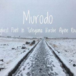 Murodo Highest Point in Tateyama Kurobe Alpine Route