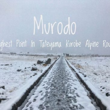 Murodo: Highest Point in Tateyama Kurobe Alpine Route