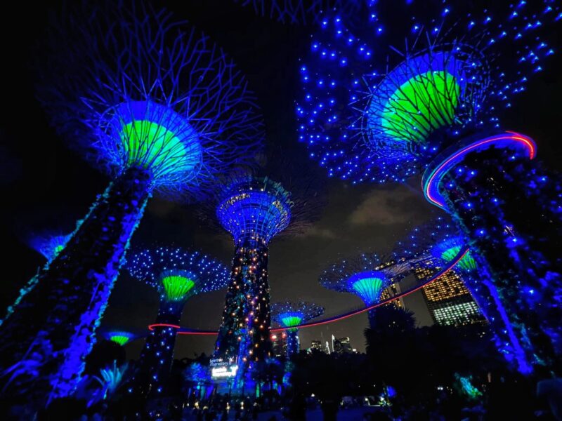 Must-See Gardens by the Bay Light Show