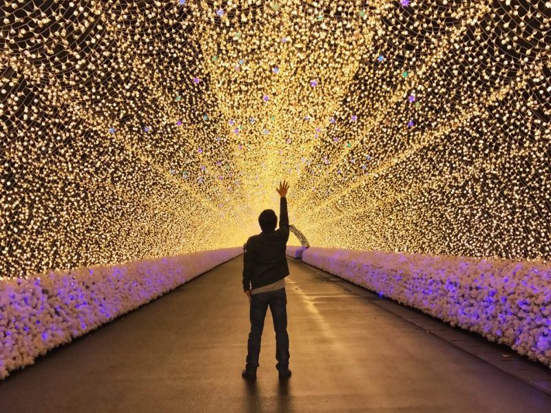 Nabana Sato Nagoya - Spectacular Winter illumination