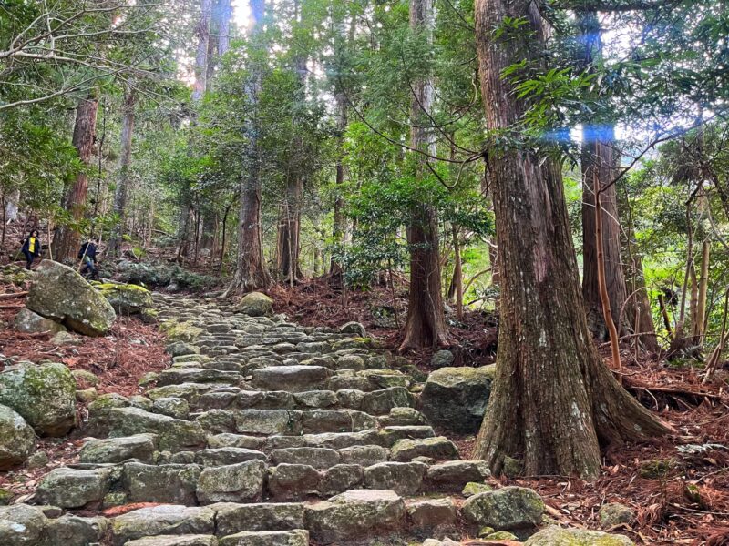 Nachikatsuura Travel Guide -Kumano Kodo Cobblestones