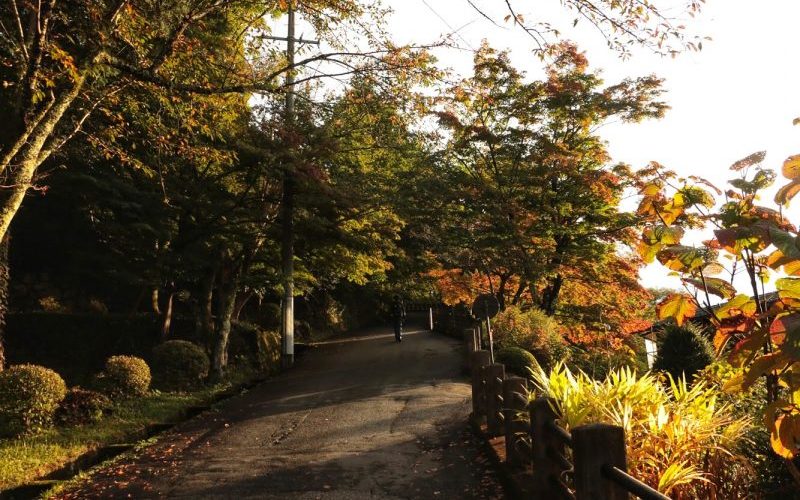 Natural Walk in Higashiyama