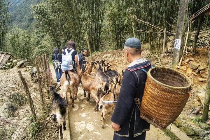 Northern Vietnam Travel Guide - Trek into Local Village