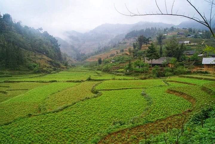 Northern Vietnam itinerary - Sapa