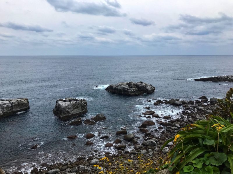 Ocean View in Nichinan Coast