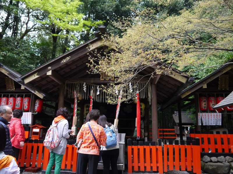 Pray in Nonomiya Shrine