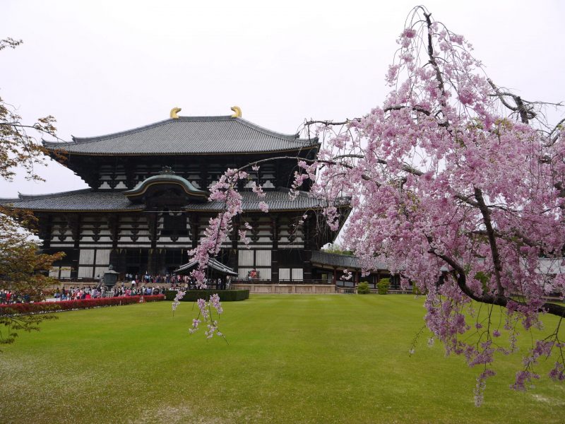 Nara day trip itinerary