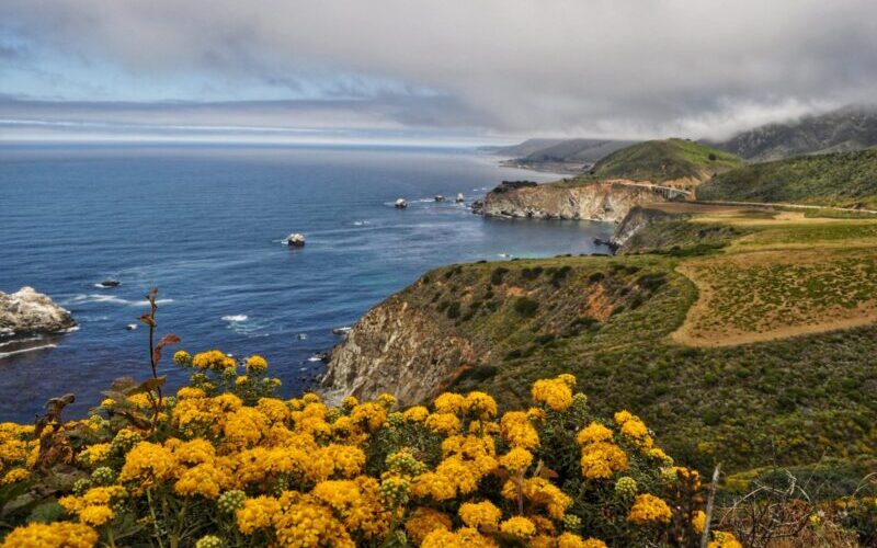 Pacific Coast Highway Road Trip