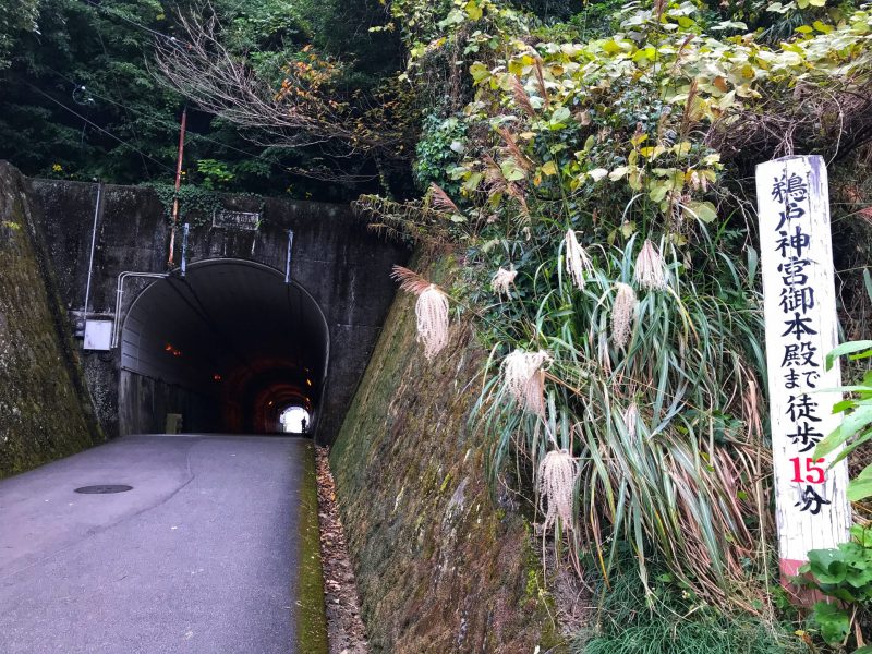 Pedestrian Tunnel while walking to Udo Jinga