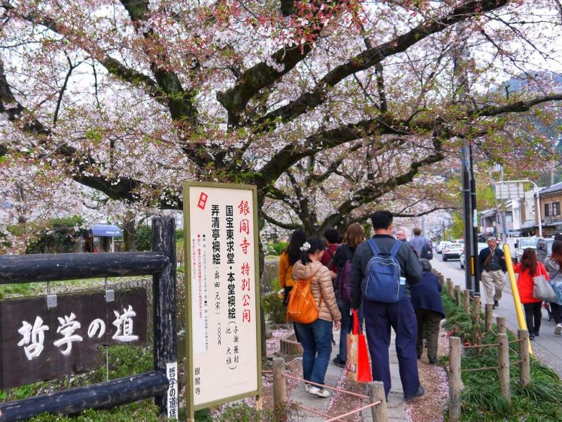 Philosopher Walk started from Ginkakuji and end at Nanzenji