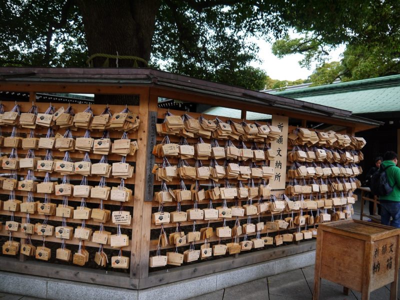 Pray at Meiji Jingu Shrine
