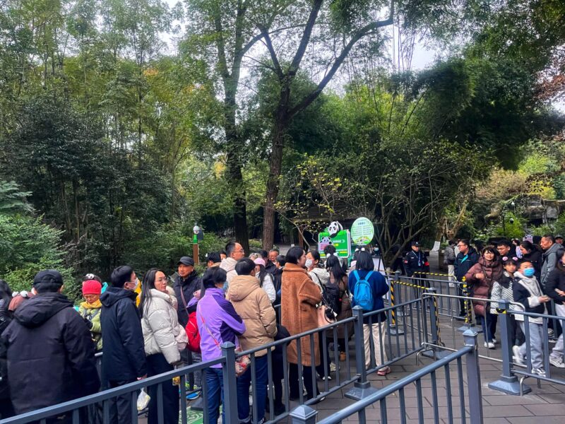 Queue to meet HuaHua at Xiongmao Jidi