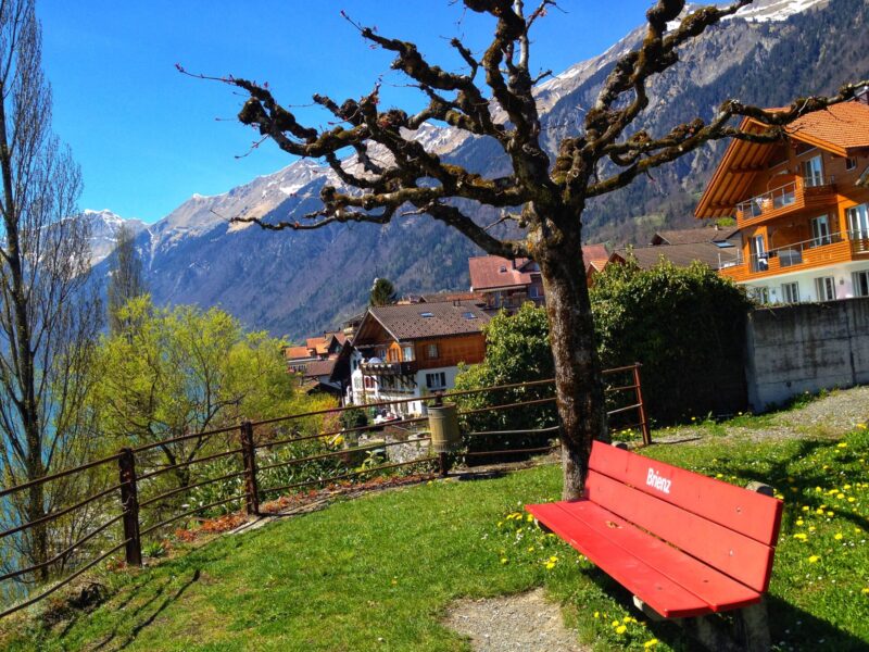 Relaxing Stroll in Brienz