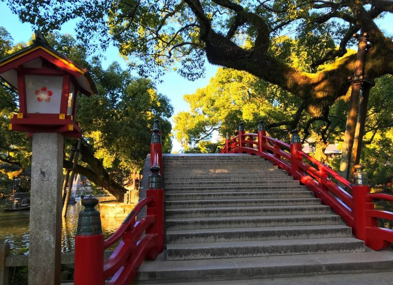 Relaxing Stroll in Dazaifu Tenmangu