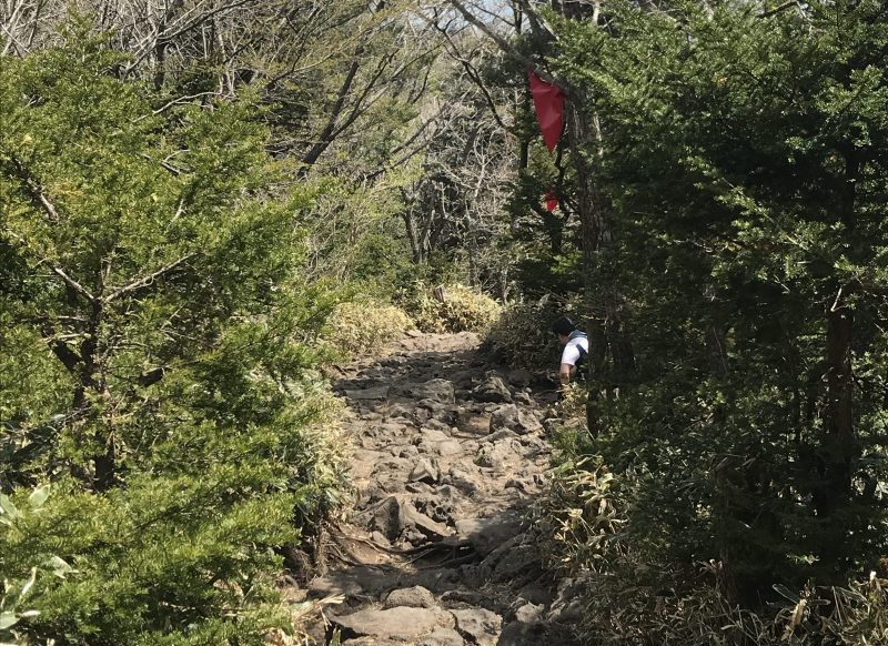 Rocky Path Along The Trail