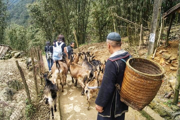 Sapa Trekking Tour