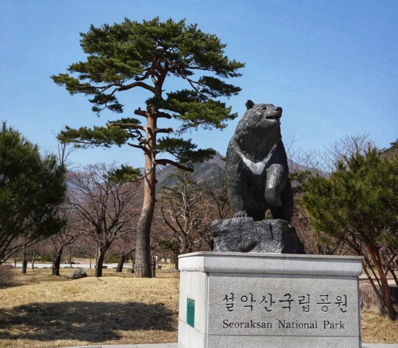 Seoul itinerary - Trip to Seoraksan National Park