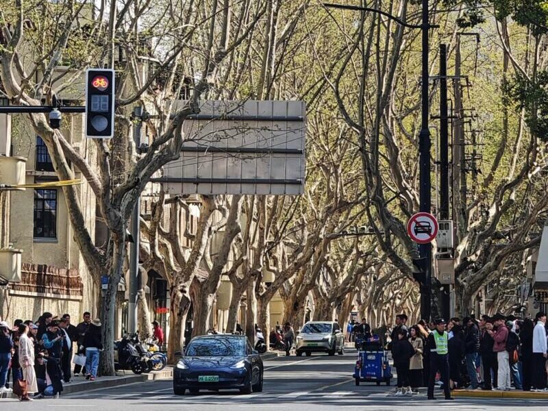 Shanghai Travel itinerary - Wukong Road
