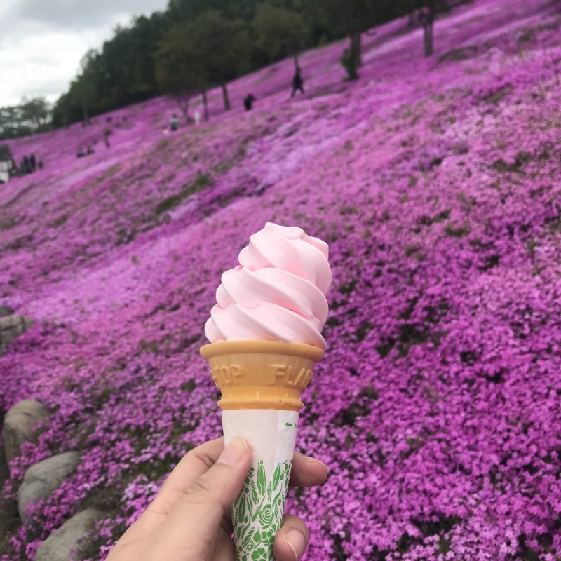 Shibazakura Ice Cream