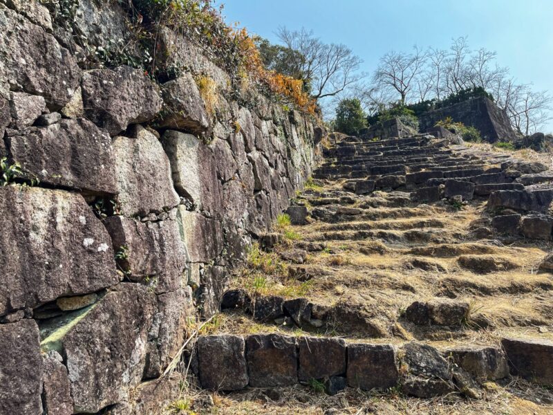 Shingu Castle Ruins