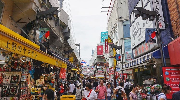 walk in the park including temples, shrines, museums, ponds, fountains, and the garden.