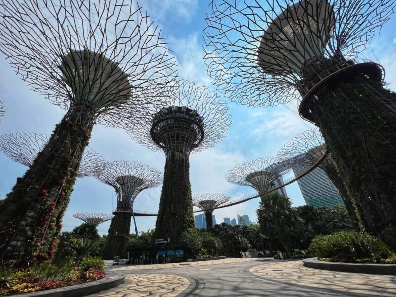 Singapore Travel Guide - Gardens By The bay