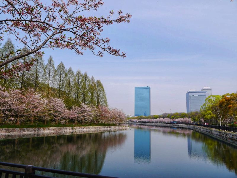 Osaka Castle Park