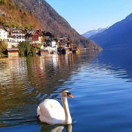 Strolling Around hallstatt