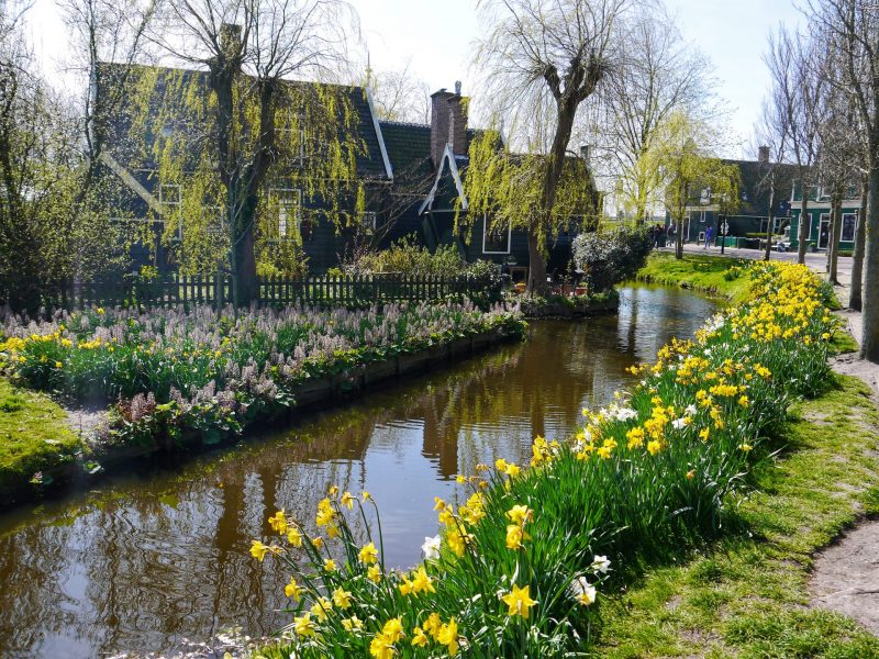 Strolling Around in Zaanse Schans Itinerary