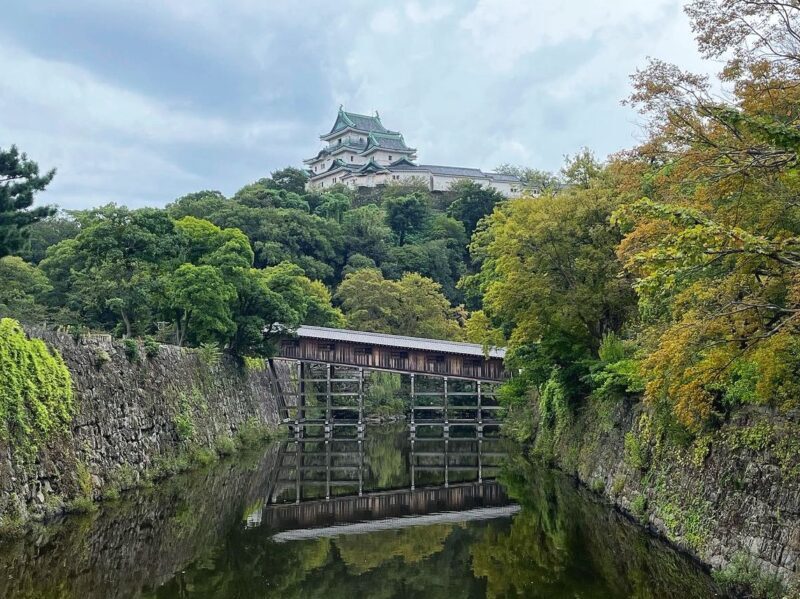 Stunning Wakayama Castle with Ohashi Roka Bridge